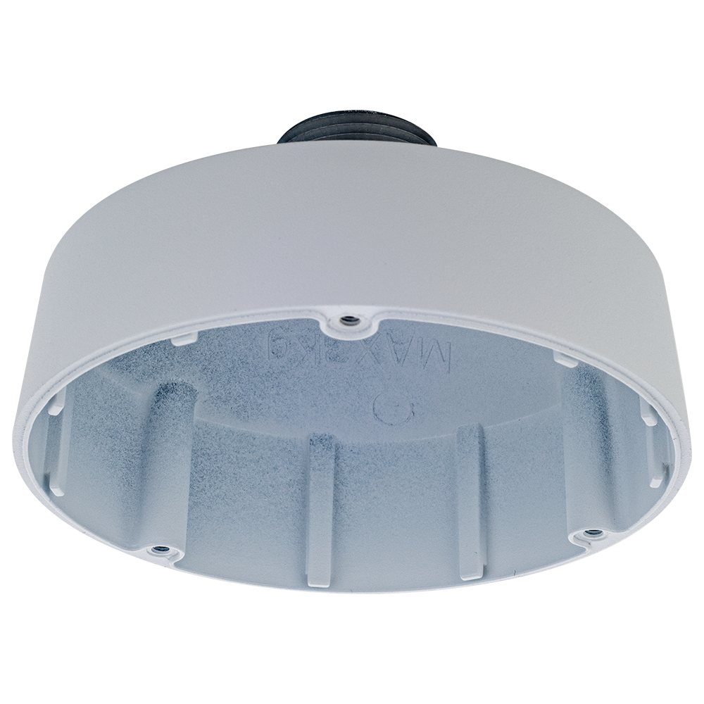 D-Link Pendant Cap DCS-F461PC