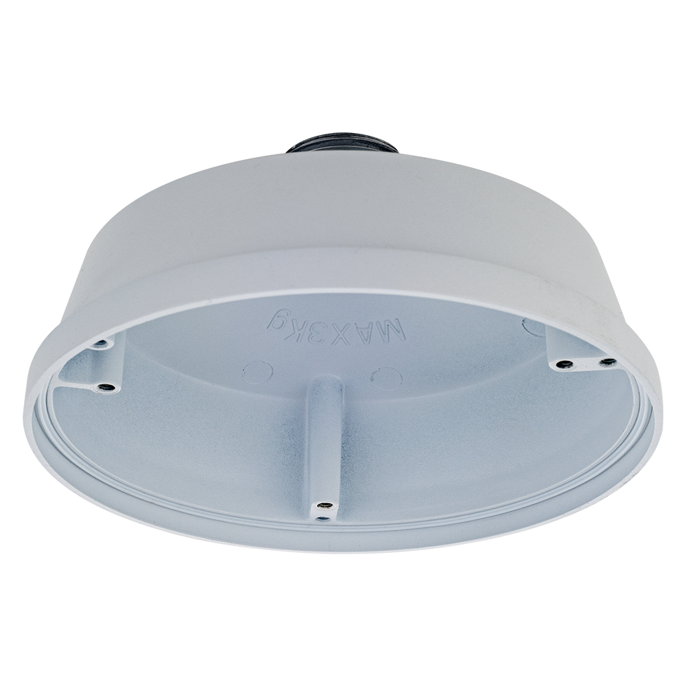 D-Link Pendant Cap DCS-F481PC