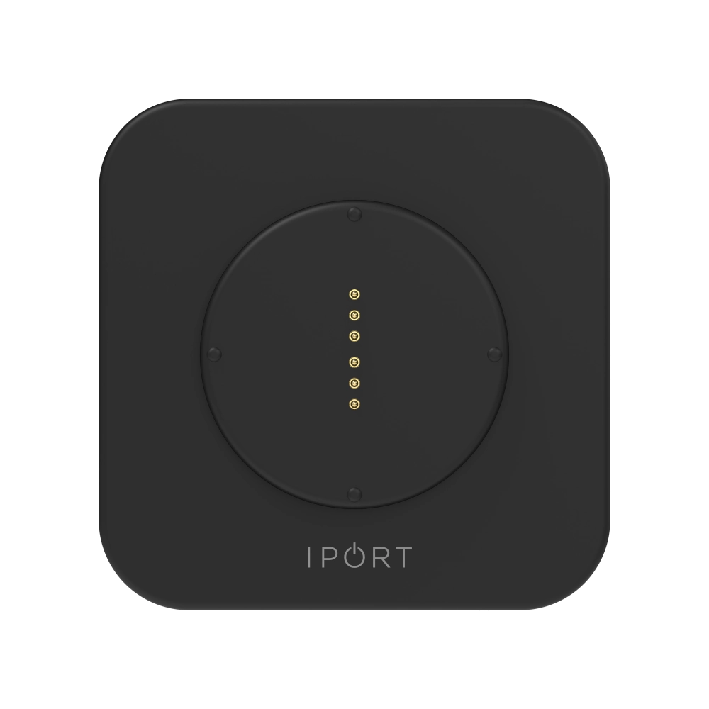 IPort Wallstation