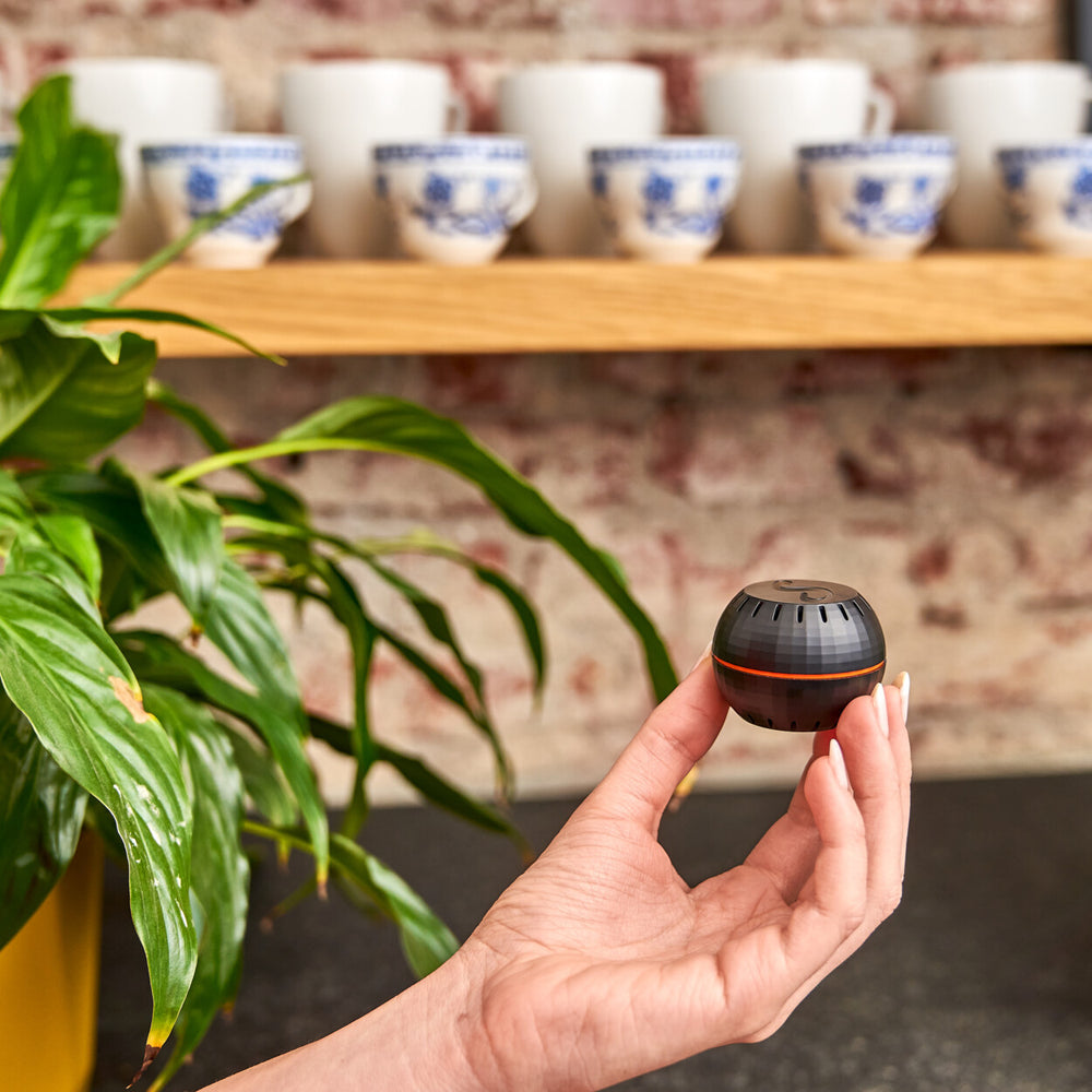 
                  
                    Hand holding a Shelly Humidity and Temperature Sensor in a kitchen
                  
                